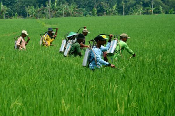 Pemkab Malang Berencana Perluas Lahan Pertanian 28%
