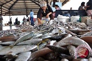  Pasar Ikan Modern Romokalisari Mulai Dibangun April 2017