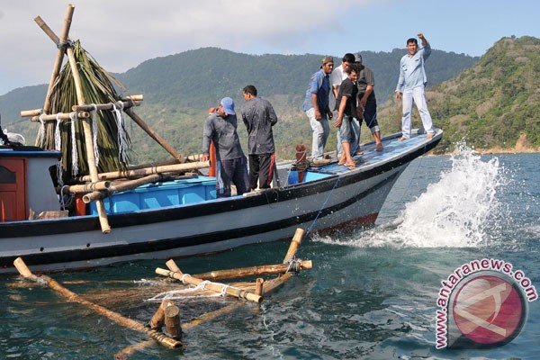  Sebanyak 234.543 Rumpon Terpasang di Perairan Indonesia