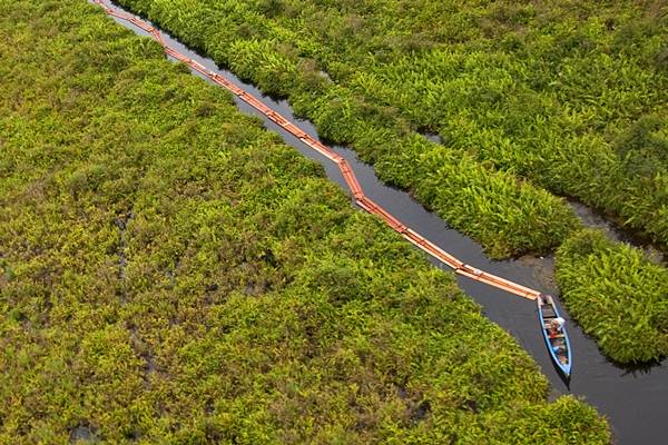  Pembalakan Liar di Hutan Riau