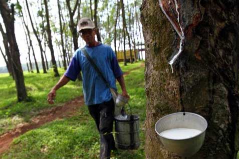  Pasokan Thailand Diperkirakan Meningkat, Harga Karet Ditutup Melemah