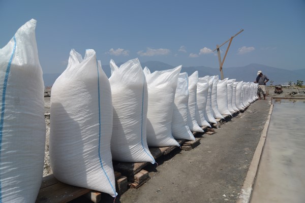  Susi Restui Impor Garam Konsumsi 75.000 Ton