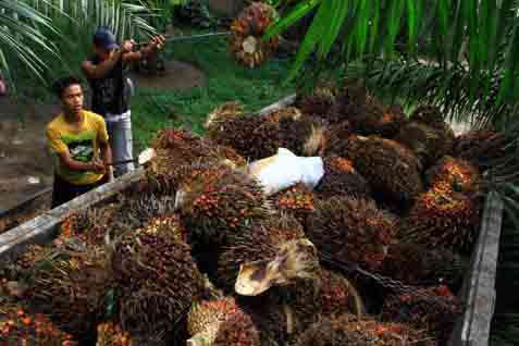  Penjualan London Sumatra Indonesia (LSIP) Turun 8,11 Persen