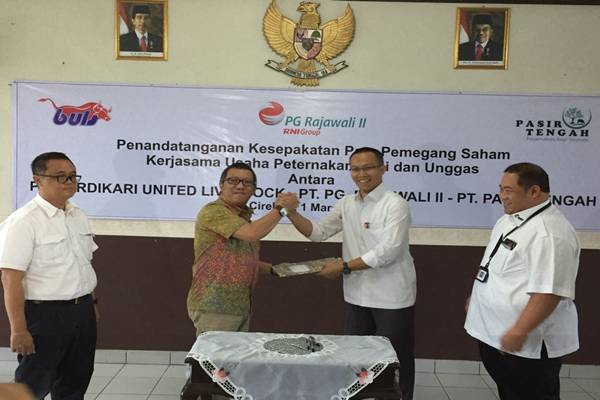  Garap Peternakan Terintegrasi, RNI Bidik Produksi 450.000 Ekor Ayam Pedaging per Bulan