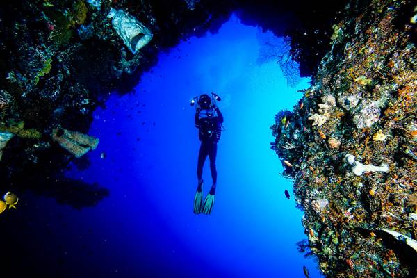  Aplikasi dari WWF Indonesia Ini Mampu Pantau Kawasan Konservasi