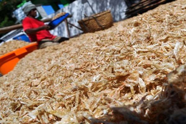  Ubah Kulit Udang Jadi Plastik Ramah Lingkungan