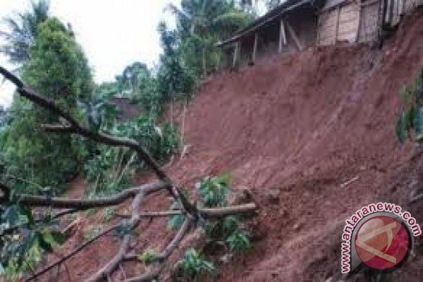  Hujan Deras, Longsor & Pohon Tumbang di Temanggung