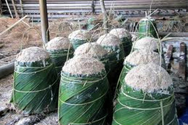 Produksi Sagu Riau Capai 246.000 Ton/Tahun