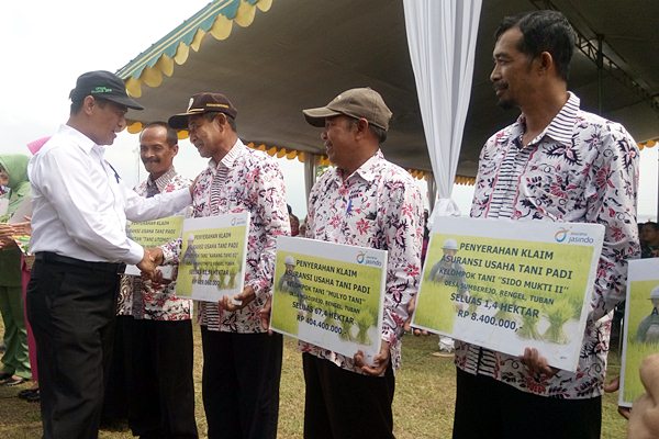  MENTAN: HPP Boleh Untuk Gabah Kadar Air hingga 30%