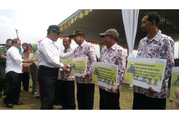  Menteri Amran Pastikan Gabah Petani Dibeli Rp3.700/kg