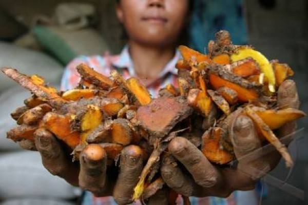  17.000 Jenis Tanaman Obat Disia-Siakan