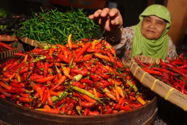  Harga Cabai di Solo Masih Mencapai Rp 140 Ribu Per Kilogram