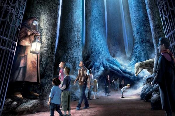  Hutan Terlarang Harry Potter Dibuka untuk Umum