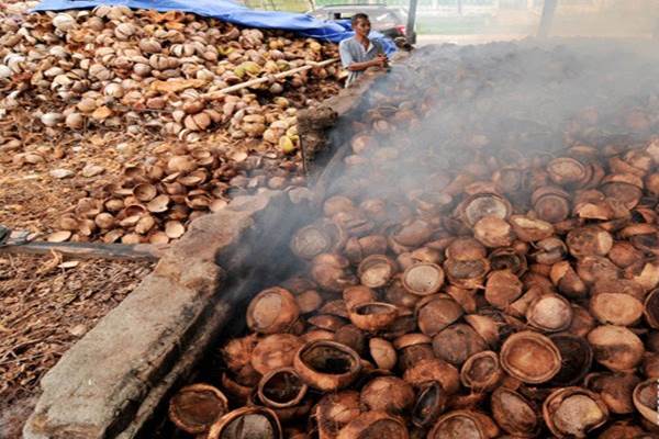  1.600 Ton Kopra Sulut Diekspor ke Filipina