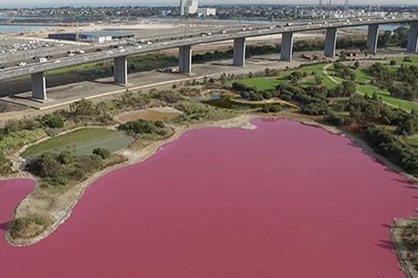  Danau di Australia Ini Berubah Menjadi Pink