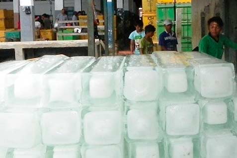  Pasokan Listrik Jadi Kendala Pembangunan Cold Storage