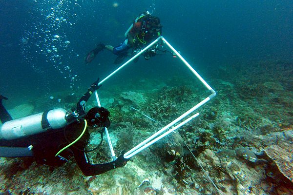  TERUMBU KARANG RAJA AMPAT RUSAK: KKP Ajak K/L Lain Sikapi Tragedi MV Caledonian Sky