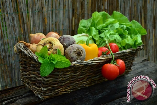  Banyak Makan Buah & Sayur Kurangi Risiko Stres