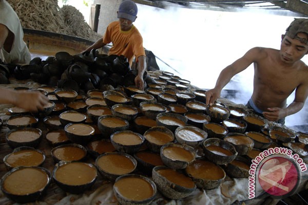  Perajin Gula Semut Dilatih Membuat Formula Kombinasi