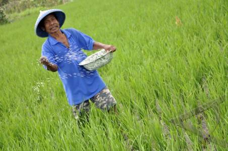  Pupuk Indonesia Terus Menggenjot Kapasitas Produksi