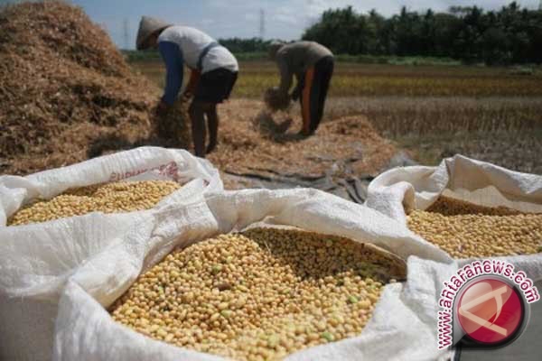  Dongkrak Produksi, Pemprov Jateng Resmikan Rumah Kedelai Grobogan