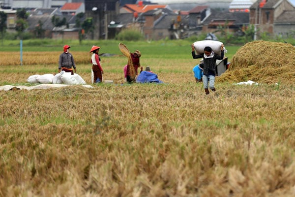  FOTO: Nilai Tukar Petani Maret 2017 Turun 0,38%