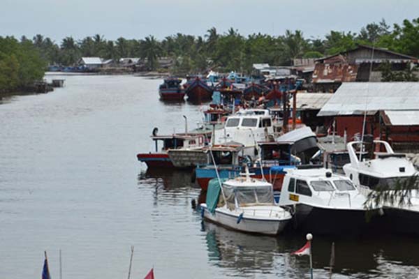  Luhut: Malnutrisi Masih Mendera Masyarakat Pesisir