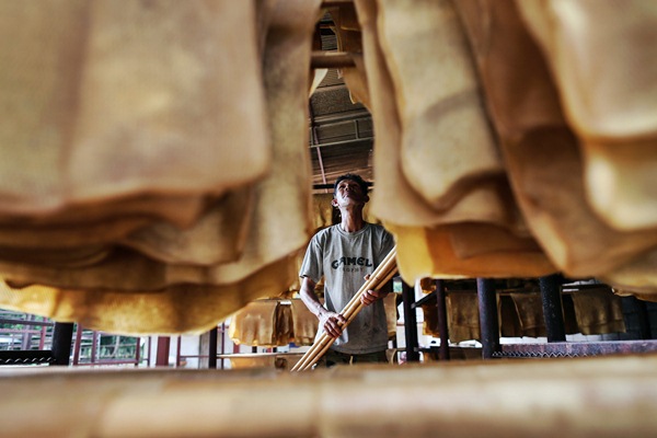  HARGA KARET 3 APRIL: Cadangan China Naik, Reli Karet Terhenti