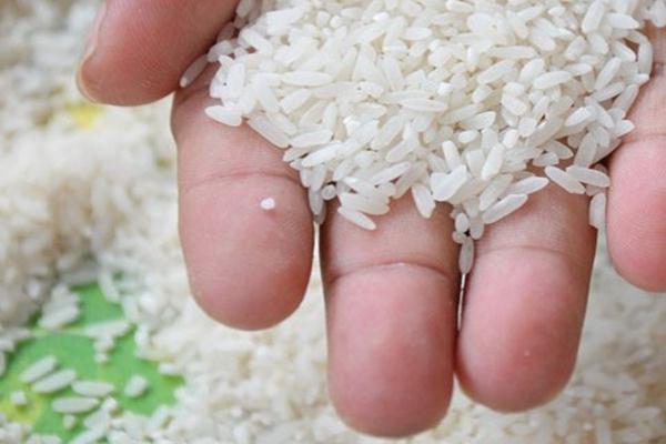  Pemkab Pekalongan Wajibkan PNS Beli Beras Lokal