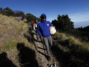  Jalur Pendakian Gunung Semeru Dibuka Kembali