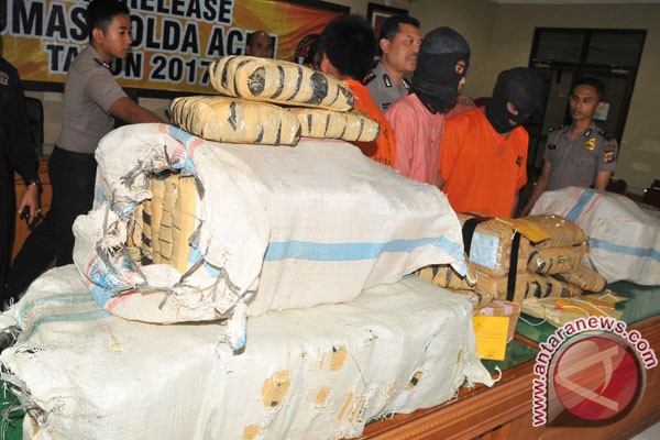  134 Kg Ganja Asal Medan Diamankan di Lampung