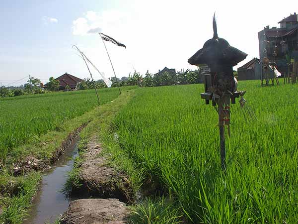  Badung Intens Bahas Penghapusan Pajak Bumi & Bangunan