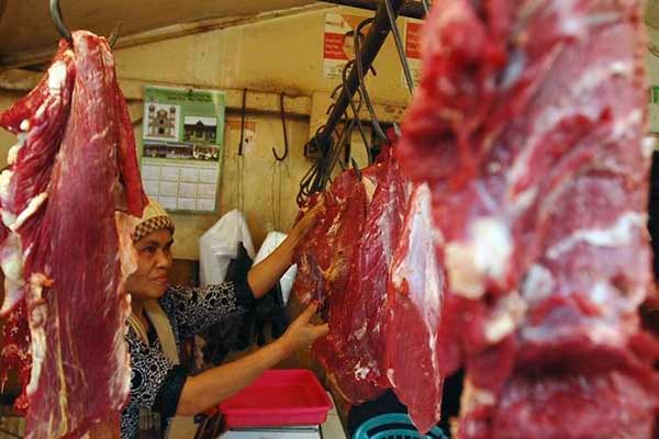  Bulog Jateng Segera Impor 5 Ton Daging Kerbau