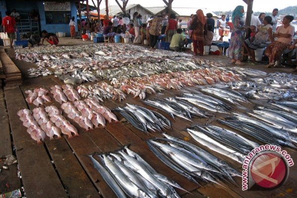  Nelayan Karimunjawa Butuh Gudang Pendingin Penyimpan Ikan