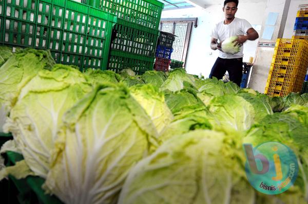  Petani Terkendala Saat Ajukan Sertifikat Keamanan Pangan