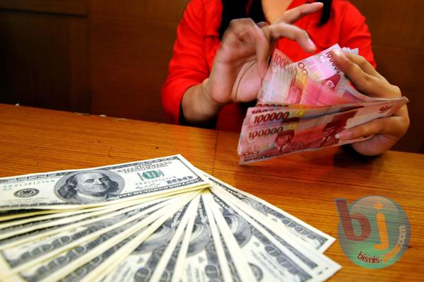  Tiap 5 Tahun, BI Periksa Money Changer