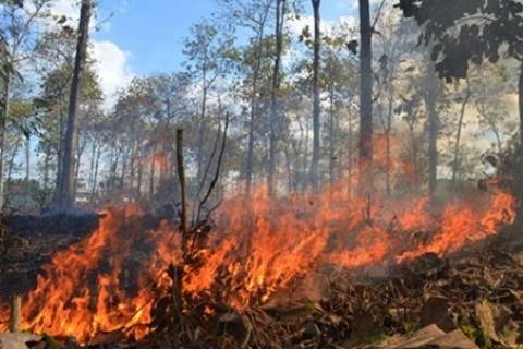  Satgas Karhutla Riau Waspadai Kemarau Mei