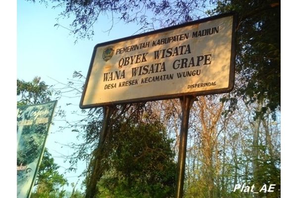  Polisi Akan Panggil Perhutani & Dispar Terkait Wana Wisata Grape