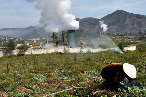  Riau Potensial Jadi Produsen Energi Terbarukan