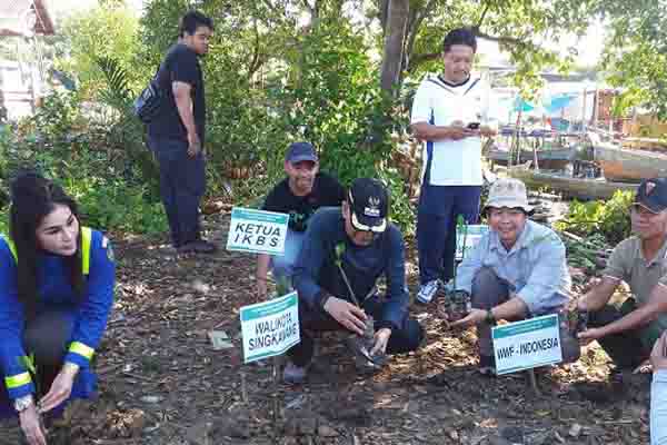  Pesisir Utara Kalbar Diramaikan Aksi Tanam Mangrove