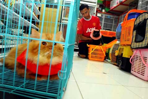  Palembang Pet Festival Kembali Digelar