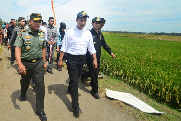  Kementan Optimis Cetak 80.000 Ha Sawah Baru pada 2017