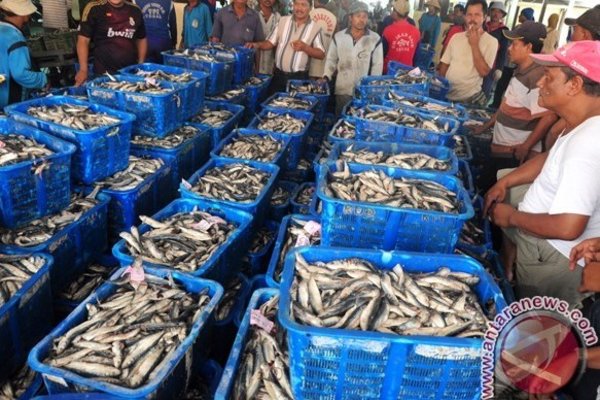  Aktivitas Pelelangan Ikan di Pekalongan Ramai Kembali