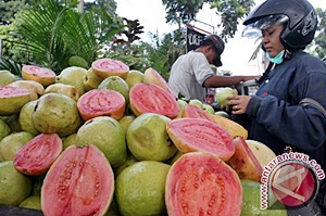  Belimbing & Jambu Bojonegoro Masuk Swalayan