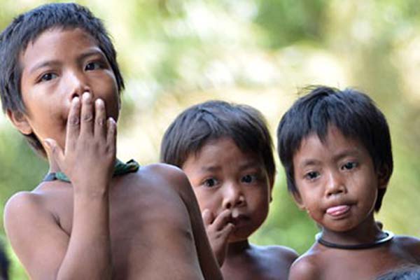  Menteri Denmark Bermalam di Hutan Jambi