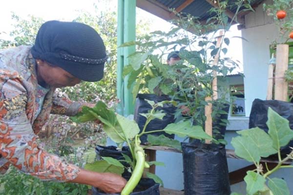  Warga Didorong Bentuk Kawasan Pangan Lestari