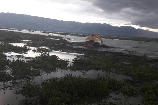  Danau Limboto Menyusut, dari 7.000 Hektare Jadi 3.000 Hektare