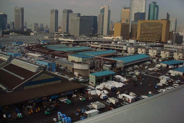  Muara Baru Bakal Ungguli  Tsukiji Jepang, Ini Sebabnya