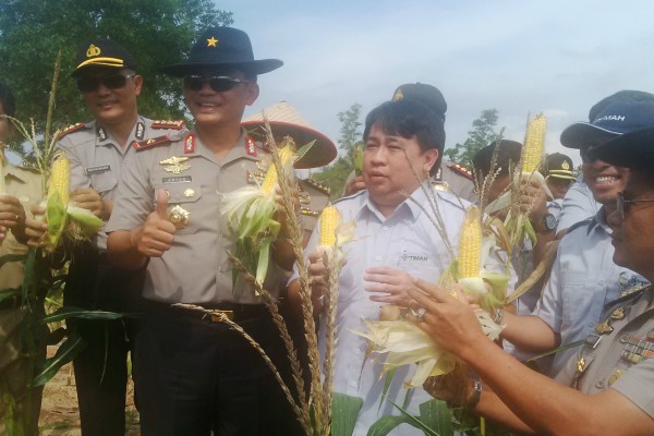  REVITALISASI LAHAN KRITIS: Program Timah Dukung Ekonomi Babel