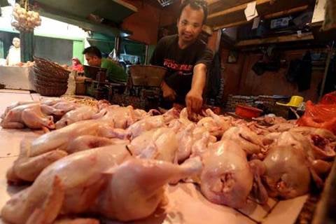  Harga Daging Ayam dan Telur di Palembang Mulai Meroket